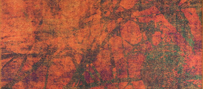 Conceptum Fusion Chenille - Orange AL 09 Multicolor